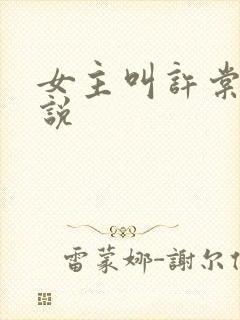 女主叫许棠的小说