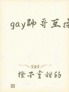 gay帅哥互操