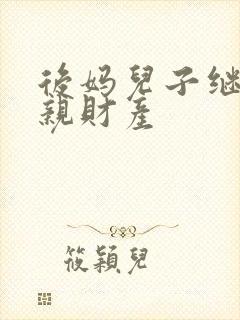 后妈儿子继承父亲财产封面