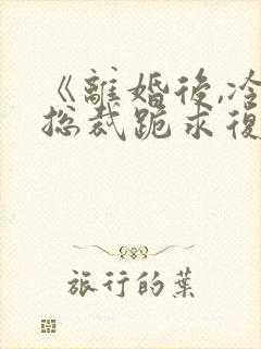 《离婚后,冷艳总裁跪求复婚》小说封面