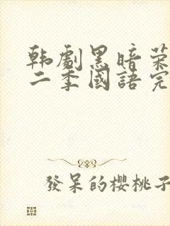 韩剧黑暗荣耀第二季国语完整版