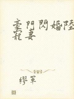 豪门闪婚陆少的宠妻