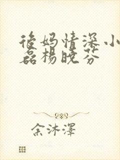 后妈情深小说王磊杨晓芬封面