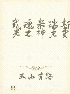 武魂米瑞斯我为光之神免费