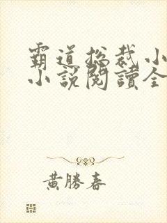 霸道总裁小娇妻小说阅读全文