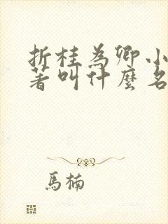 折桂为卿小说原著叫什么名字封面