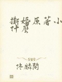 撕婚原著小说叫什么封面