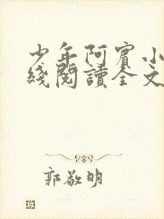 少年阿宾小说在线阅读全文无删减封面