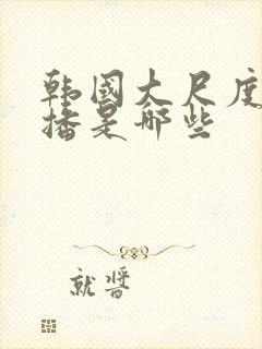 韩国大尺度女主播是哪些