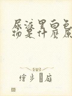 尿液里白色沉淀物是什么原因