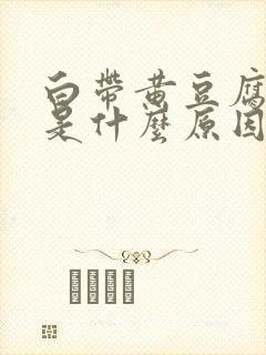 白带黄豆腐渣状是什么原因