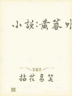 小说:黄蓉外传封面