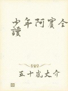 少年阿宾全集阅读