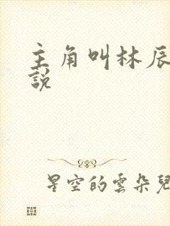 主角叫林辰的小说