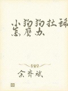 小狗狗拉稀带血怎么办