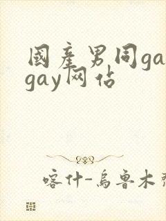 国产男同gaygay网站