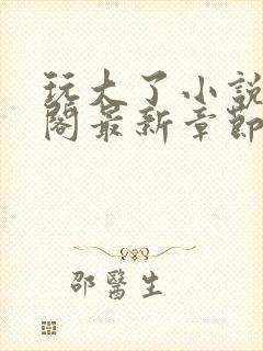 玩大了小说笔趣阁最新章节无弹窗