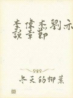 李伟杰刘亦菲小说章节封面