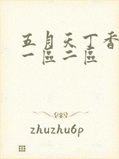 五月天丁香婷婷一区二区封面