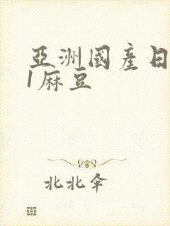 亚洲国产日韩91麻豆