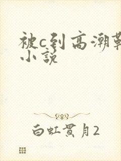 被c到高潮勒死小说封面
