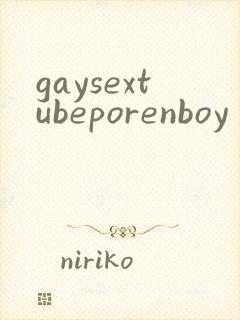 gaysextubeporenboy封面