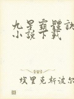 九星霸体诀全本小说下载封面