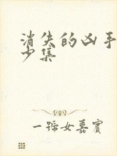 消失的凶手共多少集