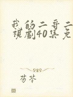 我的二哥二嫂电视剧40集免费观看