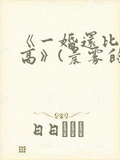 《一婚还比一婚高》(晨雾的光)小说免