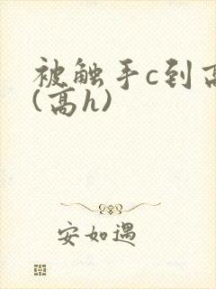 被触手c到高潮(高h)