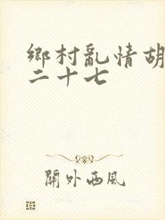 乡村乱情胡秀英二十七封面