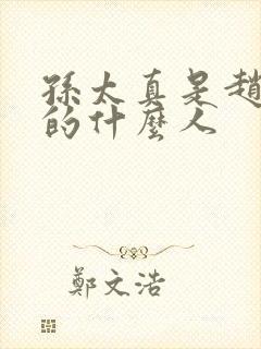 孙太真是赵匡胤的什么人