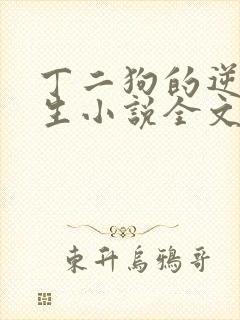 丁二狗的逆袭人生小说全文阅读