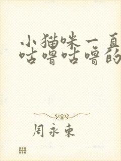 小猫咪一直发出咕噜咕噜的声音