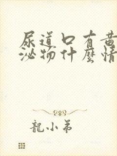 尿道口有黄色分泌物什么情况