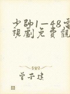 少帅1—48电视剧免费观看封面