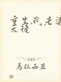 重生,我老婆是天后