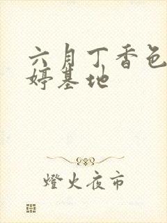 六月丁香色婷婷婷基地