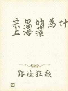 宋思明为什么爱上海藻封面