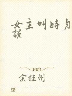 女主叫时月的小说