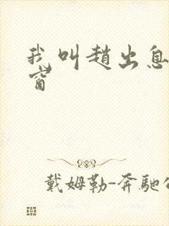 我叫赵出息无弹窗