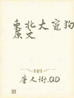东北大灶狗儿娘原文封面