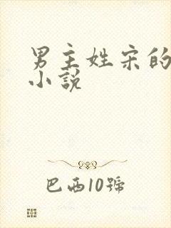 男主姓宋的总裁小说