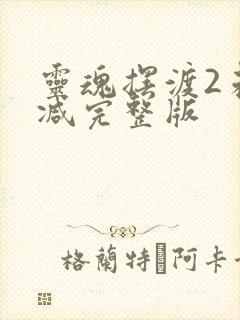 灵魂摆渡2未删减完整版封面