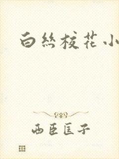 白丝校花小说封面