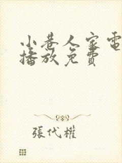 小巷人家电视剧播放免费封面