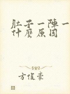 肚子一阵一阵痛什么原因