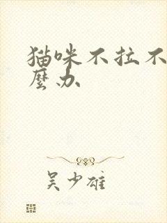 猫咪不拉不尿怎么办