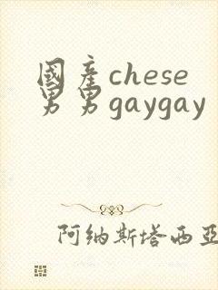 国产chese男男gaygay封面